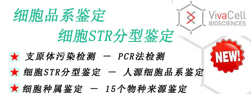 昆明泽浩代理bioind胎牛血清(04-001-1A)、RPMI-1640、DMEM培养基,STR分型,细胞品系鉴定,细胞种内污染,细胞STR鉴定