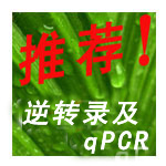 Eastep合成cDNA第一链反转录包含逆转录酶M-MLV,qPCR采用SYBR Green高性价比Mix试剂泽浩总代理促销