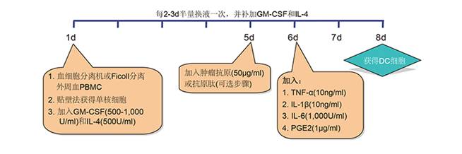 DC(树突状细胞)制备