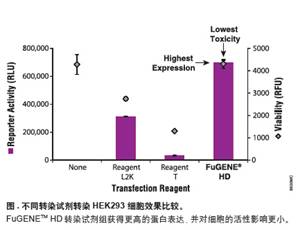 FuGENE为非脂质体转染试剂,HEK293转染效率高