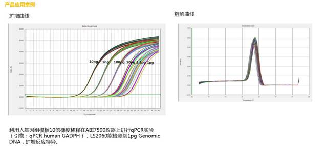 Eastep qPCR预混有SYBR Green扩增特异性好