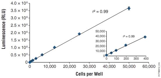  CellTiter-Glo检测ATP含量,基于ATP的萤光素酶反应,试剂直接裂解细胞