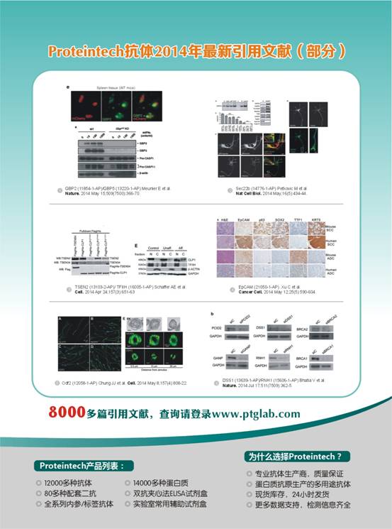 昆明泽浩proteintech现货好抗体