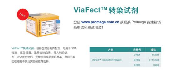 昆明泽浩Promega全新ViaFect™转染试剂