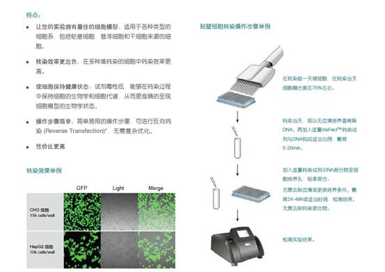 泽浩ViaFect™云南总代理