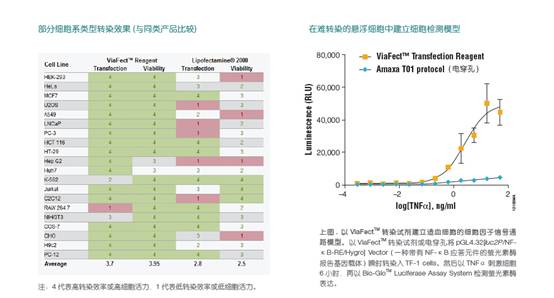 昆明总代理泽浩ViaFect™ 转染效率高