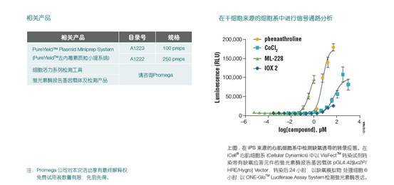 泽浩科技Promega转染试剂免费试用